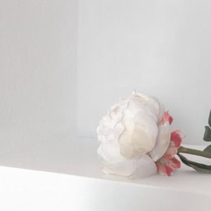 Meet your Posher, Shayle